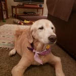 Affordable, dependable, quality product