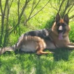 Fast service, great prices!