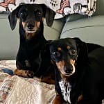 No more Stinky Butt