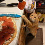 Easy and sharp for quick sub-Q fluids