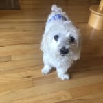 Helps so much with itching