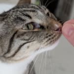 Good things come in small packages