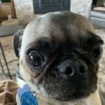 The struggle continues