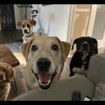 Helped and saved on cost!