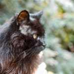 Affordable & convenient