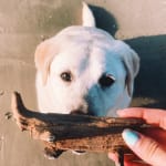 ER vet tech - love this product!