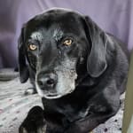 Great product to keep on hand.