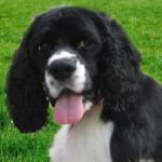 Great to prevent infections