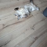 Didn't work for us but I'm sure it's good