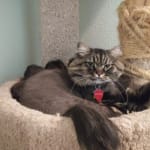 Provecta is Awesome!!!