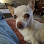 Great to do business with!