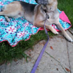 Great ointment for my girl