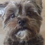 Useful Medicine for Kidney Disease