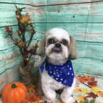 Medication is great!