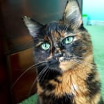 No problems here 👍