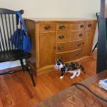 Medication is helping my lovely girl.