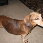 pharmacy with a Heart