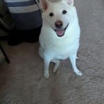 Helped with allergies