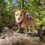 Thanks for helping me keep my babies healthy!