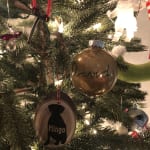 This medication has helped improve my dog's loose stools