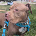 Works well! Way less itchy!