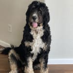 Medication truly helped!