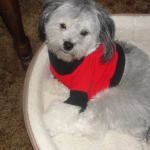 This medication is great.