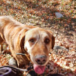 Fresher breath and whiter teeth