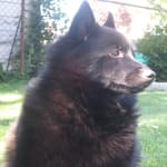 Works great with no side effects