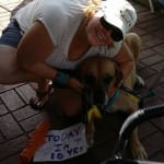 Fast Delivery at a great price