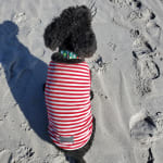 This medicine makes a difference