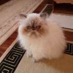 THE MEDS HAVE HELPED HER TREMENDOUSLY
