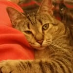 Gonna be a permanent customer