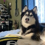 This stuff really works!