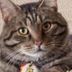 Revolution is fantastic!