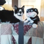 Excellent, effective product