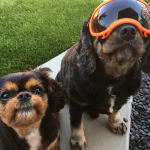 Great product and amazing packaging!