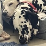 Common sense good service