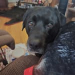 Medication has been most helpful