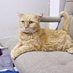 Addendum to my original review