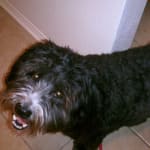 Great value and service