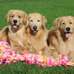 Preventing UTI's