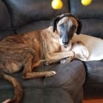 Yes i will purchase this again for treatment