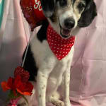 Amazing medication!!!