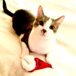 Complete turn around!