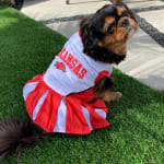 Can be used with or without VetPen