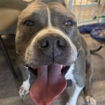 Sleeps all night now!