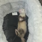 The meds helped so much