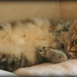 This size needle can be difficult to find...