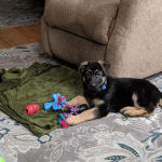 Anti seizure med. so far working well 🤞🏻